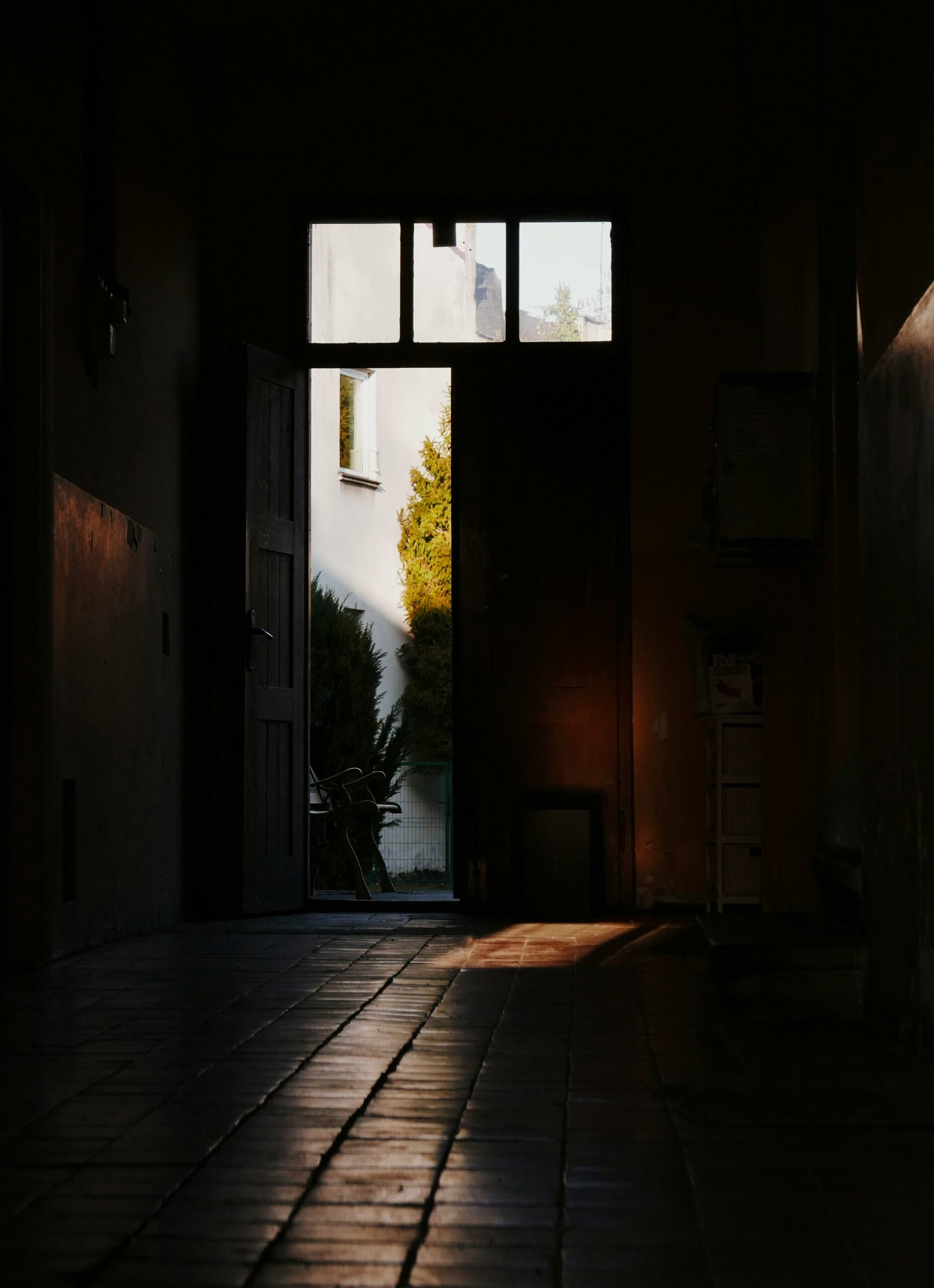 Is It Safe to Come Outside Yet…
